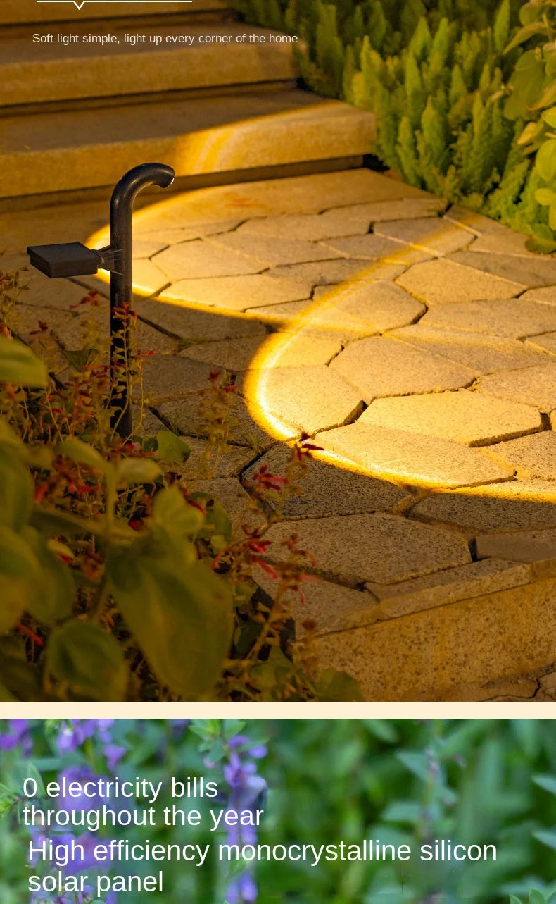 Durable Solar Pathway Lights for Driveway and Garden Landscape