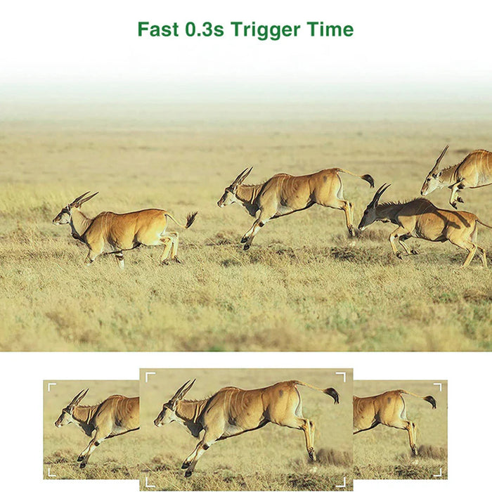 Solar Trail Camera 24MP 1080P Solar Power Hunting Camera Infrared Night Vision Wildlife Observation Camera Video Photo Recorder