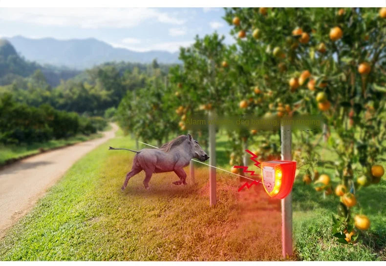 Solar Driving Alarm Garden Construction Site Driving Beast Anti-Thief Solar DC Cable Alarm