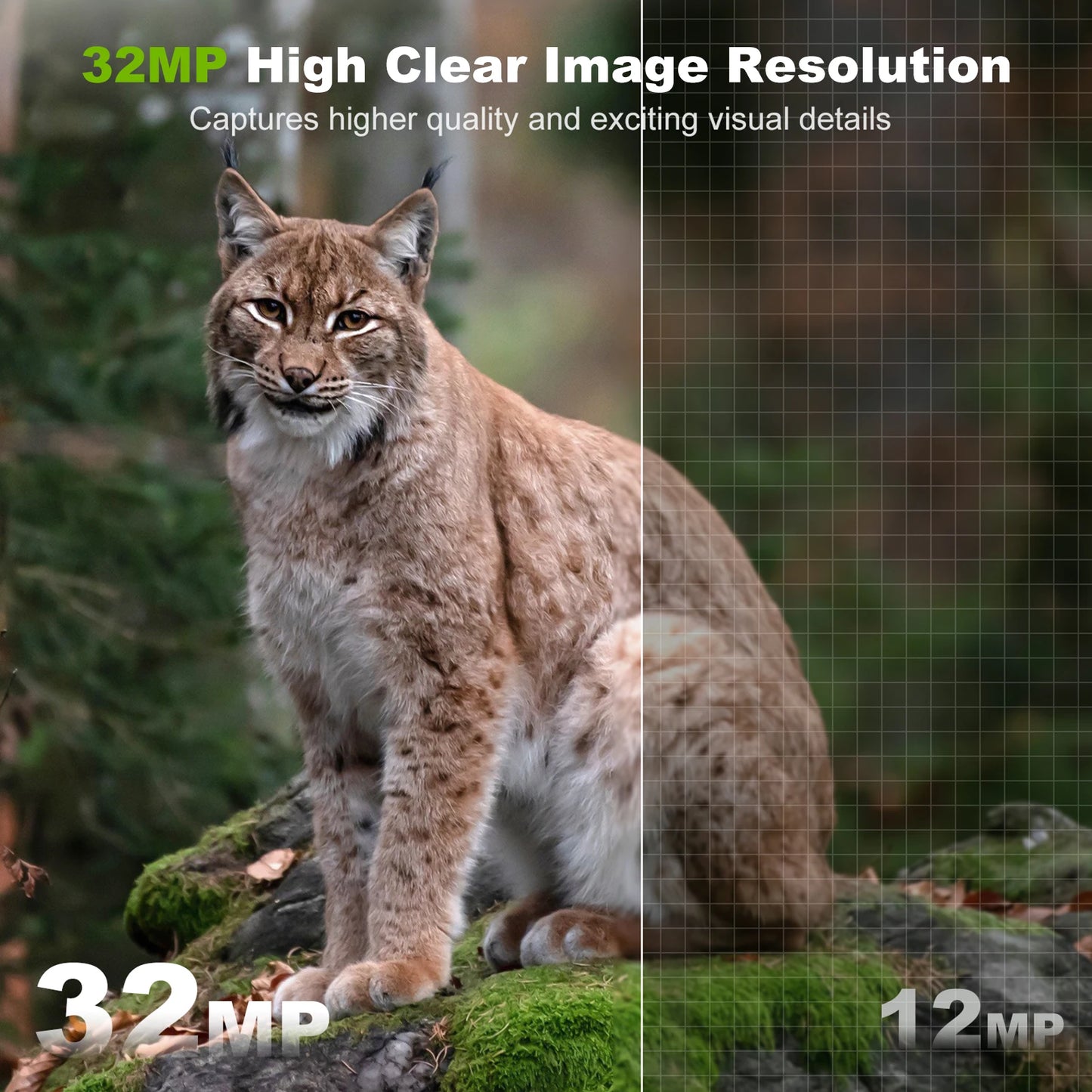 Solar Camera Outdoor Wireless Trail Camera 32MP Infrared Night Vision WiFi Enabled IP66 Waterproof Wildlife Hunting Camera