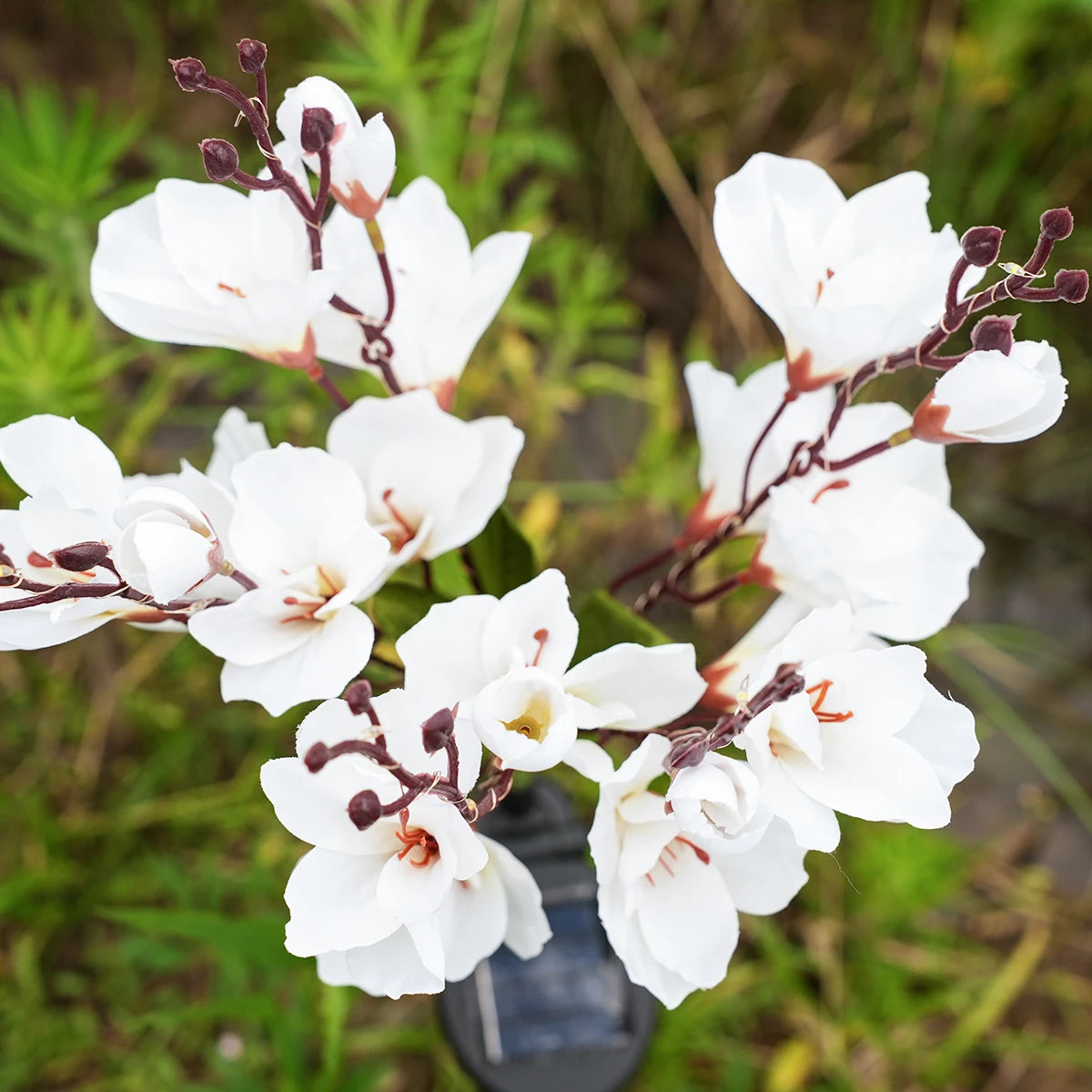 Solar powered magnolia, outdoor waterproof, suitable for decorating Christmas gardens with solar powered LED holiday lights