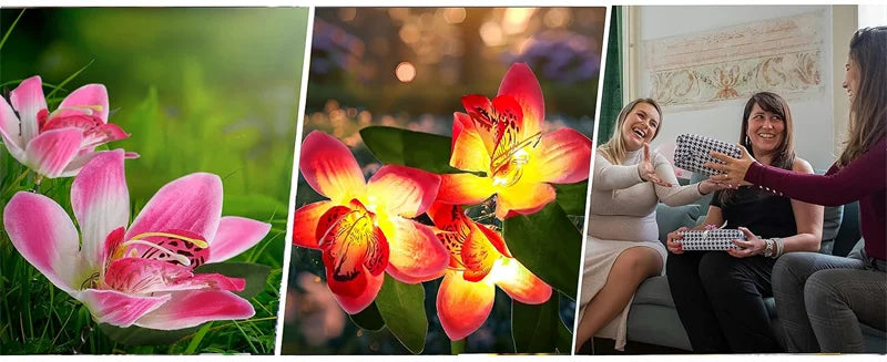 Flower Solar Lights Outdoor Garden, LED Solar Flower Lights with 7 Orchid Flower Solar Stake Lights for Courtyard Pathway lights
