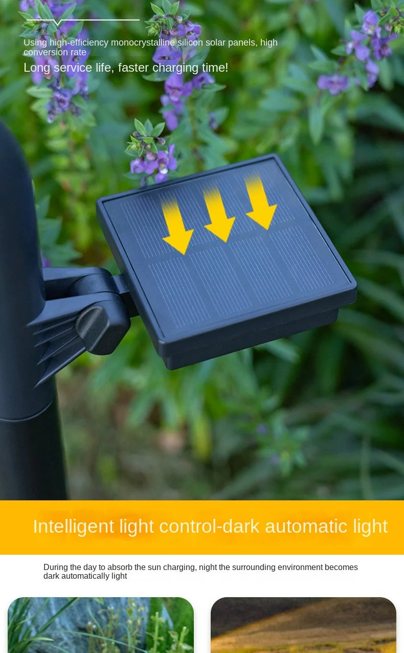 Durable Solar Pathway Lights for Driveway and Garden Landscape
