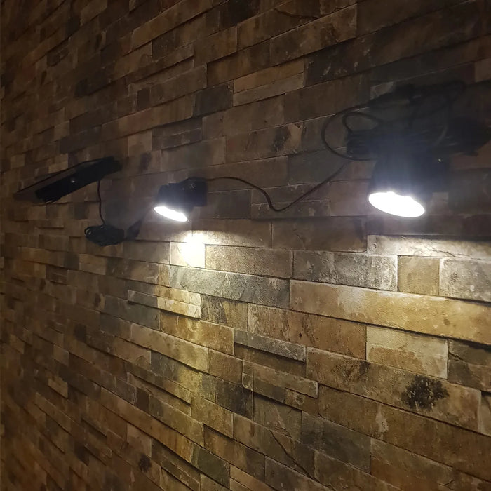 Solar Spot Lights Outdoor Legacy 50X LED Waterproop Auto ON/OFF Spotlight for Garden Yard Landscape Uplight Downlight