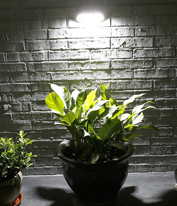 Solar wall lamp for household outdoor waterproof garden decoration fence LED human body sensing outdoor courtyard lamp