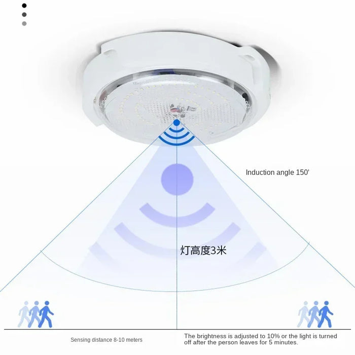 Solar lights Indoor Home Top Ceiling House Outdoor Garden pandent light Panel Lamp Fixture For Corridor Garden Living Room