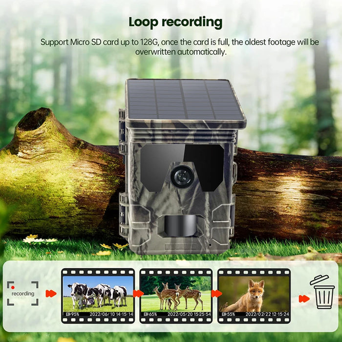 Solar Trail Camera 24MP 1080P Solar Power Hunting Camera Infrared Night Vision Wildlife Observation Camera Video Photo Recorder