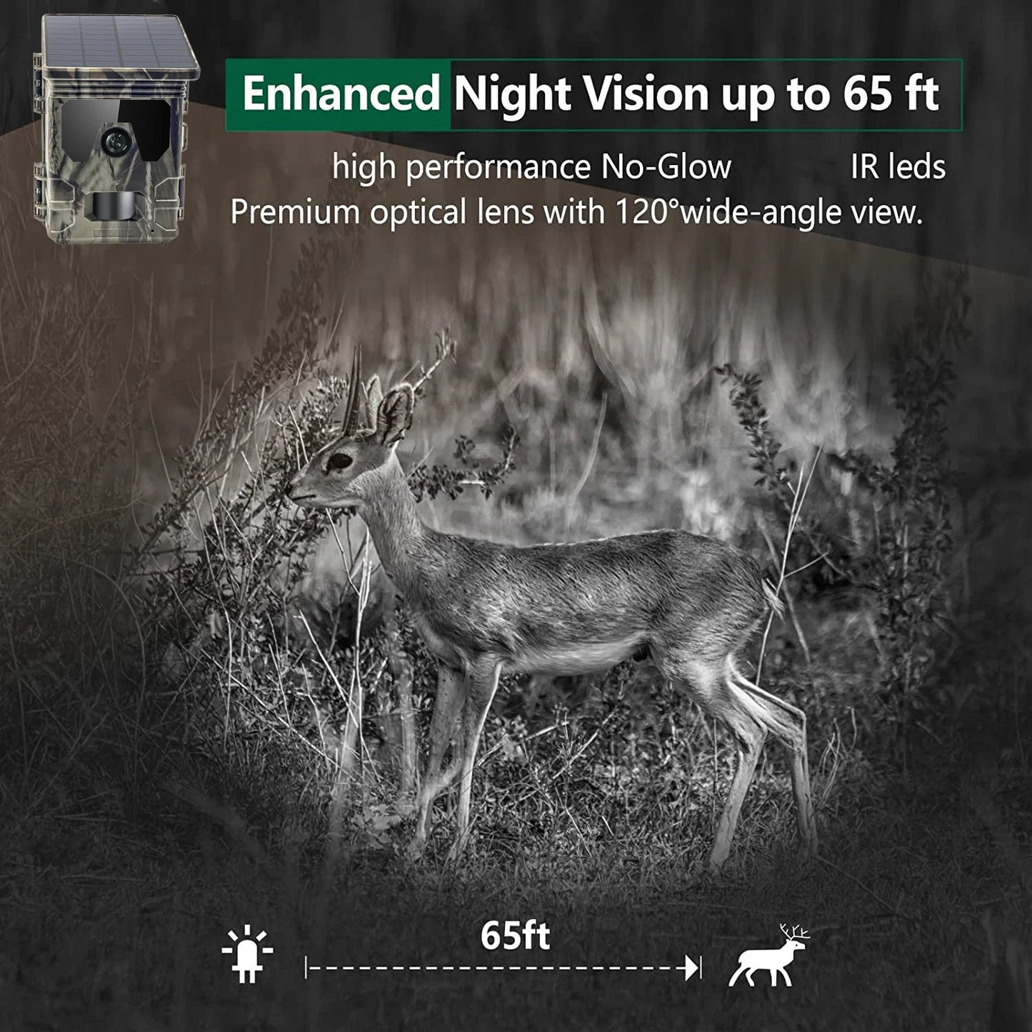 Solar Charging Hunting Camera, Outdoor Game Cam, Night Vision, 120 ° Detection, Wildlife Recording, 2K, 30MP, 4G