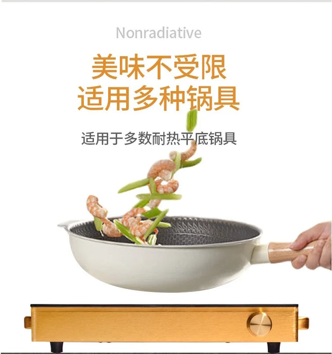 Solar Powered Stove Cooker 12v Dc 600W Battery Powered Cooker Ceramic Cooktops