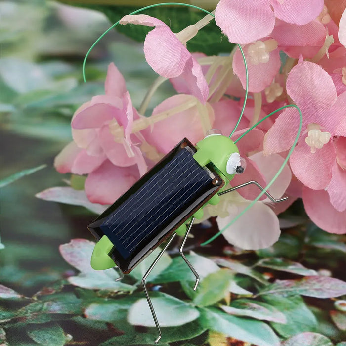 Children Solar Power Energy Insect Grasshopper Cricket Sports Car Kids Technology Production Toy Gift Solar Novelty Funny Toys